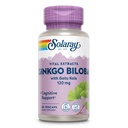 SOLARAY Ginkgo Biloba Extract with Gotu Kola - Ginko Biloba Capsules for Brain Health Support - Vegan, Lab Verified, 60- Day Guarantee - 60 Servings, 60 VegCaps (60 VegCaps)