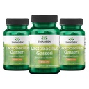 Swanson Lactobacillus Gasseri Probiotic dla dorosłych Poszukiwana Poparcie pokarmowe i Metaboliczne z 3 Miliard CFU - Acid- Resistant, Brak chłodzenia (60 Kapsułki wegańskie, 3 Pack)