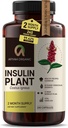 Premia Jakość Costus Igneus (Insulina Plant) Kapsułki - Łatwe do połknięcia 240 Kapsułki wegetariańskie (2 Miesięczne dostawy) - Made in The USA - Włączając kompletny program wsparcia zdrowia