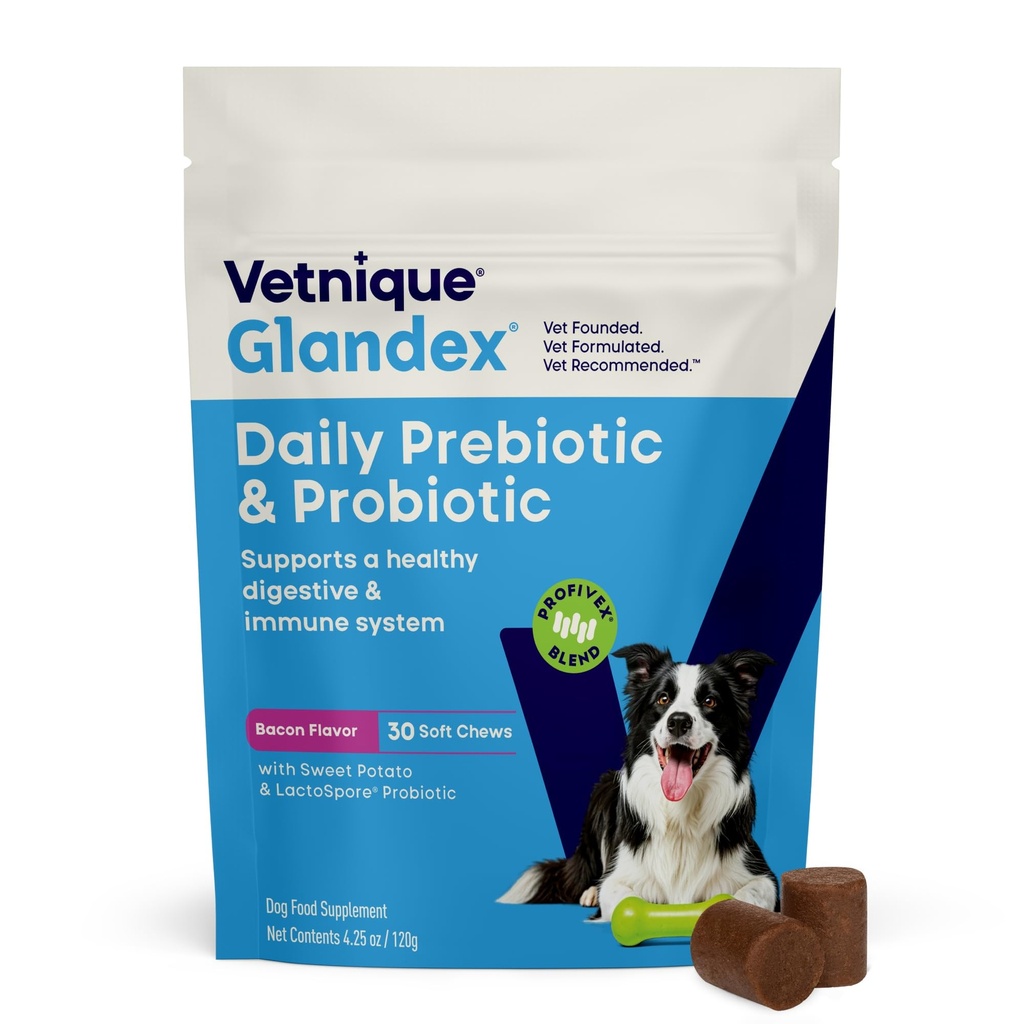 Vetnique Glandex Daily Probiotics dla psów z prebiotykami do wspierania zdrowia Gut z włóknami i enzymy pokarmowe, Probiotic Chews lub proszki (30ct Chews, Bacon Chews)