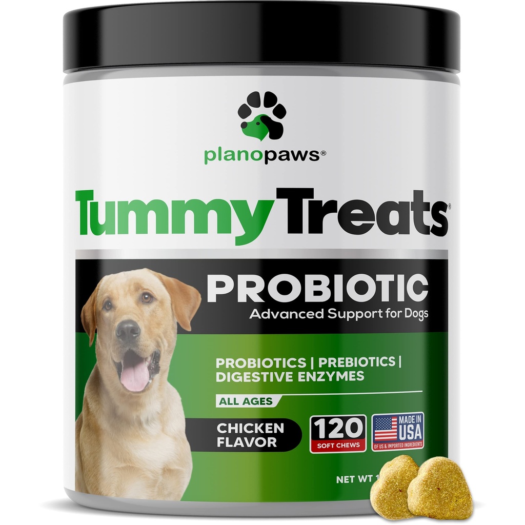 Probiotyki dla psów - Probiotyki psów i Enzymy trawienne - Ulga alergiczna dla psów - Probiotyk dla psów Gut Health - Szczeniak Probiotic Tummy Treats - 120 Psie Probiotyczne Chews