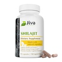 Jiva Botanicals Shilajit kapsułki 700 mg - Shilajit Extract with Fulvic Acid - Shilajit Supplement for Men & Women - 90 Vegan Capsules for Daily Wellness - 90 Count (Pack of 1)