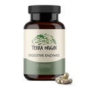 TERRA ORIGIN Digestive Enzymes with Probiotics & Prebiotics Bird124; 60 Capsules Bird124; Supports Digestive Gut Health 124; Non GMO, Gluten Free, Vegan Bird124; for Women and Men
