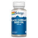 SOLARAY Black Currant Seed Oil 600 mg - Dostarczające przeciwutleniacze, kwas gamma-linolenowy (GLA), kwas alfa-linolenowy (ALA) i kwas linolenowy (LA) - Wsparcie dla zdrowia skóry - 60- Day Guarantee, 90 Serv, 90 Softgels