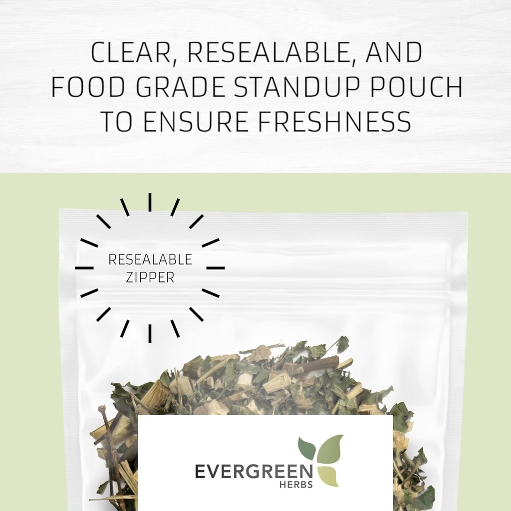 Evergreen Herbs Cuachalalate Herb (Amphipetyglum Adstringens) - Resealable Stand Up Pouch, aby zapewnić świeżość! (Tea Bags)