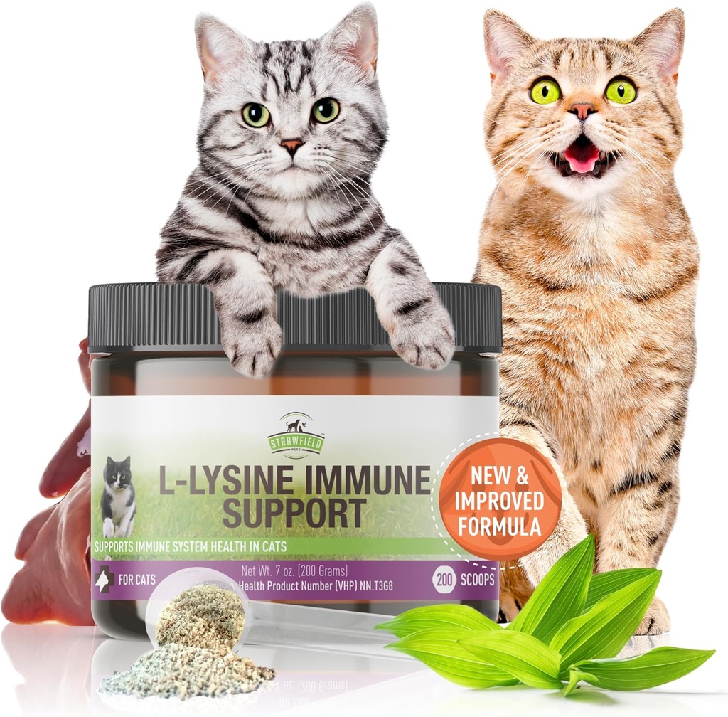 Truskawkowe Zwierzęta domowe L- Lysine immunologiczne Wsparcie dla kotów i kociąt - 200g Kurczaka Flavor Granulat z Scoop, Immune Health Supplement Cat Cold Relief, Sneezing, Zatory, Biegnący nos, Wodne oczy