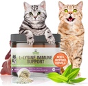 Truskawkowe Zwierzęta domowe L- Lysine immunologiczne Wsparcie dla kotów i kociąt - 200g Kurczaka Flavor Granulat z Scoop, Immune Health Supplement Cat Cold Relief, Sneezing, Zatory, Biegnący nos, Wodne oczy