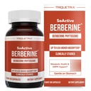 SoActive Berberine 550mg: 9.6X Wyższa Absorpcja, Studiowane klinicznie, Zoptymalizowane Phytosome 124; Wspomaga Metabolizm i Aktywacja AMPK 124; Nie-GMO, SoyFree 124; Klinicznie zwalidowane dawki 124; 60 Służenie