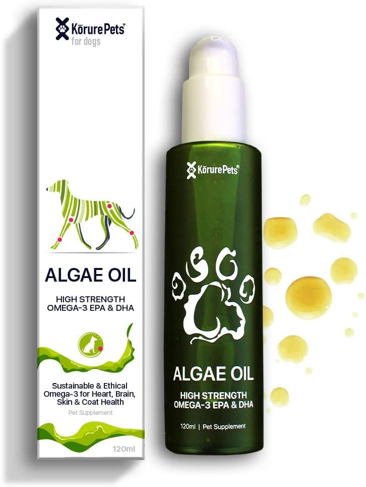 Omega 3 dla psów, skóry i Coat Suplement dla psów, Olej z alg, Alternatywny olej rybny dla psów, alergia i ulga dla psów Itch, Dog Anti Shedding Suplement, Suche leczenie psów skóry, Z Nowej Zelandii 120ml