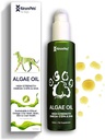 Omega 3 dla psów, skóry i Coat Suplement dla psów, Olej z alg, Alternatywny olej rybny dla psów, alergia i ulga dla psów Itch, Dog Anti Shedding Suplement, Suche leczenie psów skóry, Z Nowej Zelandii 120ml