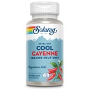 SOLARAY Extra Hot Cool Cayenne 100.000 HU - Tradycyjna pomoc w usuwaniu i trawieniu ludów - Bio- Cool Process - Lab Verified, GMP Facility, 60- Day Guarantee - 45 Służb, 90 VegCaps
