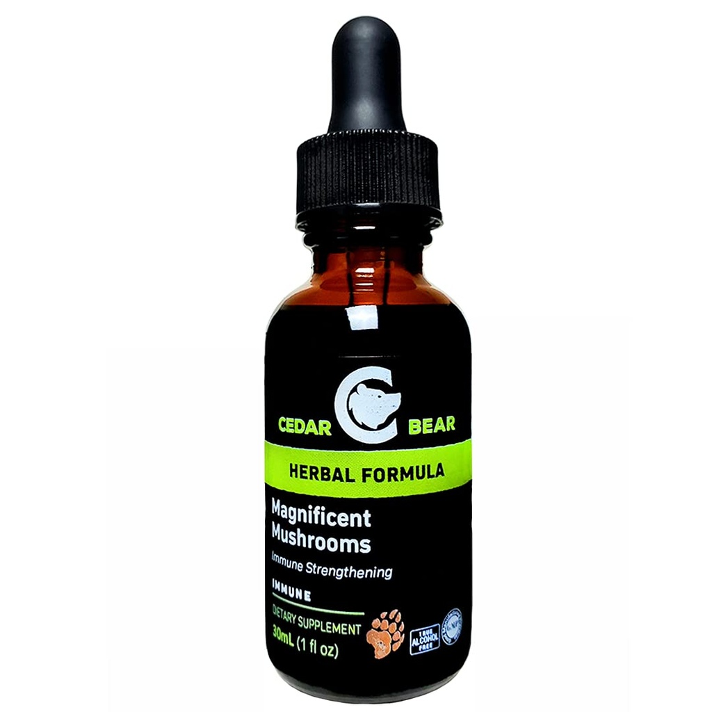 Cedar Bear Wspaniały Mushrooms płynny suplement ziołowy, który buduje system immunologiczny, chroni, wzmacnia i balansuje ogólne zdrowie 1 Fl Oz