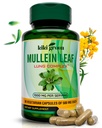 KIKI Green Mullein Leaf Extract kapsułki - Vegan Herbal Supplement - dla Lung Cleanse, Wsparcie, Lepsze oddychanie, Immune Function - 1000mg 45 Służenie - 90 Hrabia
