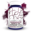 Andrographis paniculata kapsułki 124; 200mg kapsułki 124; 60 liter 124; 50% andrographolidów 124; wspomaga funkcje immunologiczne 124; wspomaga funkcje komórkowe