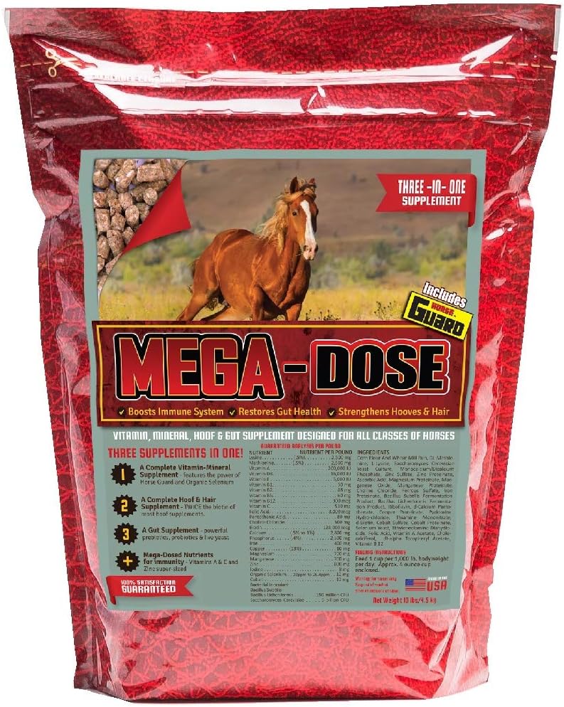 Mega dawka 10 lb, Witamina Equine Mineral z pełną obsługą suplementu Gwardii Konnej i Gwardii Kopyt