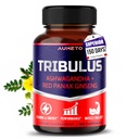 Tribulus Terrestris 98% Saponiny - Ulepszony 12-in-1 Formuła z Yohimbine, Red Panax Ginseng, Ashwagandha dla Boosting Energy, Stamina & Endurance * - Made in USA