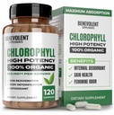 Miłosierny Chlorofil kapsułki 350mg - 100% Natural + Ultra Chlorofil 20x Stężenie potencji na zwiększenie energii, Wsparcie immunologiczne, Dezodorant wewnętrzny, Zdrowie skóry, Non-GMO, 120 Kapsułki