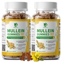 (2 Pack) 9 w 1 Mullein Gummies for Lung Cleanse & Detox, Extract Mullein Leaf Extract w / Quercetin, Bromelain, Elderberry & Marshmallow for oddechowy, Immune & Digestive, Wegan, 120 Count