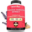 Żywotne żyły Premium Fadogia Agrestis i Tongkat Ali Suplement z Turkesterone - 1100 mg - 120 Czapki - Synergistic Mieszanka dla wydajności, Siła, & Odzyskiwanie dla mężczyzn i kobiet w każdym wieku