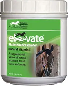 Kentucky Performance Prod 044097 Elevate Maintenate Powder Supplement for Horses, 2 lb