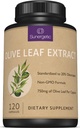 Premia Olive Leaf Extract Kapsułki - Standaryzowane do 20% Oleuropeina - Super Siła Olive Leaf Supplement Exact Supports Immune System & Cardival Health - 750mg Per Capsule - 120 Kapsułki