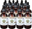 Echinacea Alcohol- Free Liquid Extract, Echinacea (Echinacea Angustifolia) Suszony gliceryt korzeniowy Hawaje Pharm Natural Herbal Supplement 15x4 oz