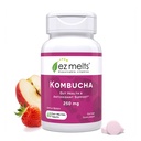 EZ Stopy rozpuszczalne Sugar-Free Kombucha Tablets z SCOBY & Jabłkowe Cider Ocet, Gut suplementy zdrowia dla mężczyzn i kobiet, Jabłko Berry Flavor, 2- Miesiąc dostaw - 1 Pack