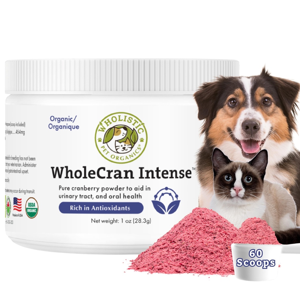 Wholistic Pet Organics WholeCran Intensywne: Organiczny proszek żurawinowy dla psów Wsparcie trakcji moczowej dla psów UTI Leczenie witaminy C i przeciwutleniacze Nietrzymanie moczu