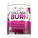 Vitauthority Collagen Peptydes Proszek Utrata masy ciała Suplementy 124; Zhydrolizowany kompleks piękności dla kobiet, skóry włosów paznokci 124; Tłuszcz Burning Support 124; Czekolada smażone 25 Słupki