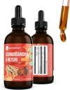 360 Nutrition Ashwagandha & Reishi Suplement korzeniowy Drops for Stress Relief, Stamina & Longevity, and Energy Support - Vegan Non-GMO Adaptogenic - 4 fl oz, 60 Służenia