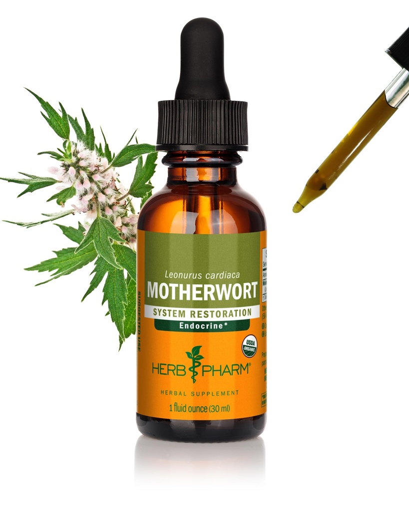 Herb Pharm Certified Organic Motherwort Liquid Extract for Enconal System Support - 1 unce