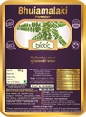 Veena Biotic Bhumi Amla Powder (Phyllanthus Niuri) Bhoomi Amla Powder - Bhuiamlaki Powder - 100gm