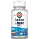 KAL Lactase Enzym 250 mg, Zdrowa pomoc na nietolerancję laktozy, Napełnione płynem ActivGels Made Without Soy, 250 jednostek FCC, 30 Służenie, 60 SoftGels