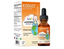 Kiddivit Baby Lactoferrin Liquid Drops - Delikatny suplement wsparcia immunologicznego - 100mg Formuła z inuliną prebiotyczną - 60 Daily Servings - Sugar Free, Gluten Free, Wegetarianin, 2oz