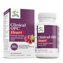 Terry naturalnie Kliniczny OPC Heart - Heart Health Supplement with Magnez, Witamina B6, ekstrakt z nasion winorośli - Suplement diety dla Artery Health & Circulation - 60 kapsułki
