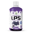 LPS Liquid Collagen & Serwatka suplement protein - Bezcukrowy, Wytrzymały, Napoje Non-GMO - Zhydrolizowany Kolagen & Serwatka Peptydes promuje zdrową skórę i włosy dla mężczyzn i kobiet, Grape, 32 fl oz