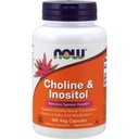 Teraz Cholina i Inozytol 500 mg, 100 kapsułek (opakowanie po 2)