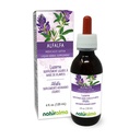 Naturalma Alfalfa lub Lucerne (Medicago Sativa) zioła z kwiatami bez alkoholu nalewka - bogaty w naturalny chlorofil - 4 fl Oz Liquid Extract in Drops - Suplement ziołowy - Wegan