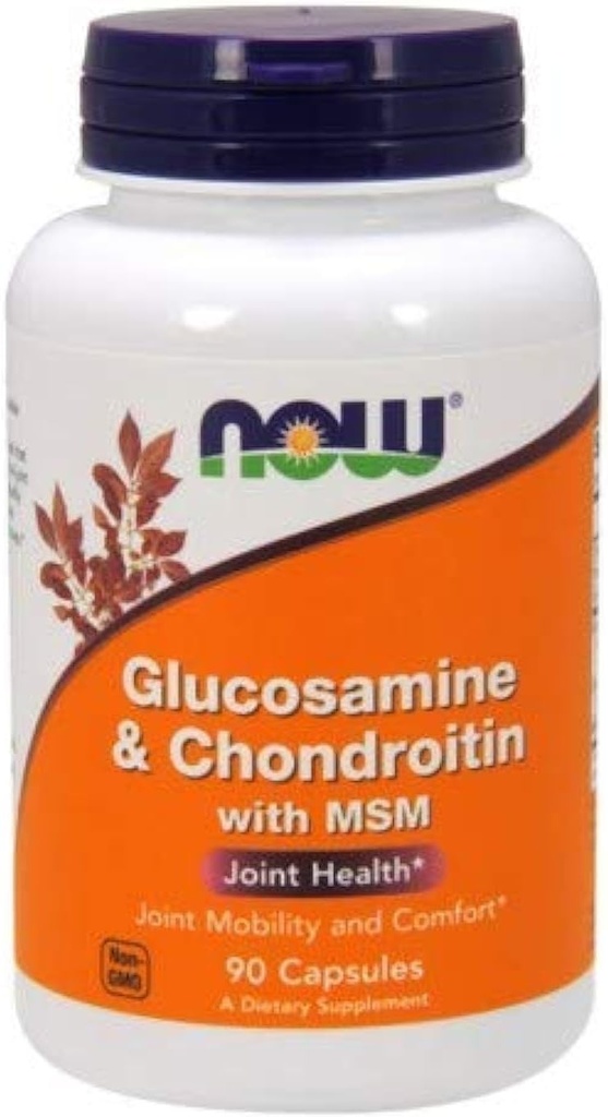 Glukozamina i Chondroityna z MSM - 90 Caps -2 Pack