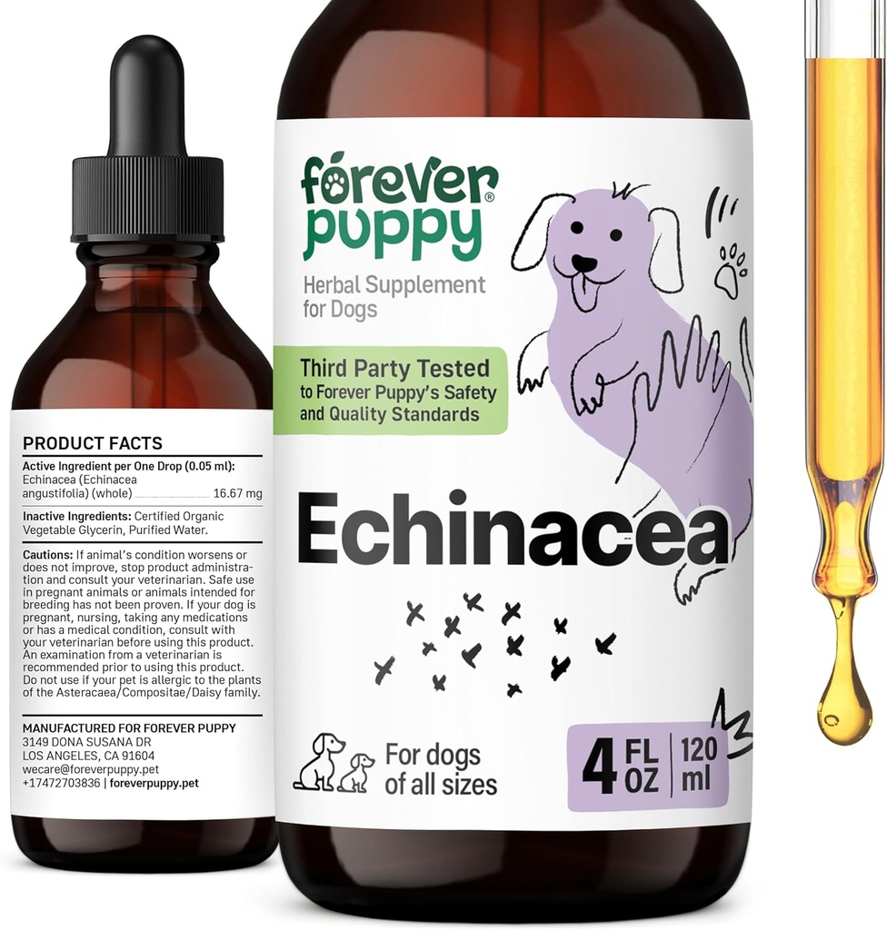 Na zawsze Puppy Echinacea Drops dla psów - Immunitet Wsparcie i Zdrowie układu oddechowego w / Echinacea Herb Extract - Płynny suplement wsparcia immunologicznego dla psów wszystkich ras i rozmiarów - 4 oz