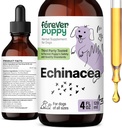 Na zawsze Puppy Echinacea Drops dla psów - Immunitet Wsparcie i Zdrowie układu oddechowego w / Echinacea Herb Extract - Płynny suplement wsparcia immunologicznego dla psów wszystkich ras i rozmiarów - 4 oz