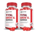 Laboratoria z uzasadnieniem (2 opakowania Vital Grow XL Performance Gummies 1000MG Advanced Formuła preparowana z ACV Granat Sok z buraków w proszku B12 Vegan Non GMO 120 Gummys