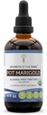 Secrets of the Tribe Pot Marigold USDA Organic Birmingham 124; Alcohol- Free Extract, High- Pottency Herbal Drops Birmingham 124; Made from 100% Certified Organic Pot Marigold (Calendula, Calendula Officinalis) Suszony Kwiat (4 oz)