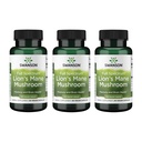 Swanson Lion 's Mane Mushroom - Tradycyjny suplement booster mózgu wykonany z hericium Erinaceus (60 kapsułek, 500mg każdy) 3 opakowania