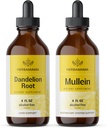 Zestaw ziołowy HERBAMAMA - zbiór korzeni Dandelion Root i Mullein Leaf Tincture 4 fl oz - Wegan, Non-GMO, Cukier i Alkohol - 2 opakowania