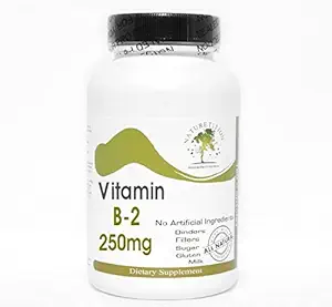 B-2 Witamina 250mg ~ 100 Kapsułki - Brak dodatków ~ Naturetition Supplements