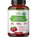 Zazzee USDA Organic Cranberry 25: 1 Extract, 500 mg na kapsułkę, 100 Kapsułek Wegańskich, Ponad 3 Dostawy Miesiąc, Standaryzowane, Skoncentrowane 25X Extract, 100% Wegetarian, Certified Organic, Non-GMO All- Natural