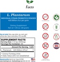 Foods For Gut Lactobacillus Plantarum Probiotic Powder 400 Billion cfu 's VOL124; Made in USA VOL124; No Additives VOL124; Direct from Wytwórca VOL124; No Third- Party Storage 124; Immune Support VOL124; 30 Grams (1.05 OZ)