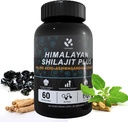 Shilajit Himalayan Supplement 60% Kwas Fulvic, 120 Kapsułek Vegan Supply Supply with Pure Natural Shilajit, Ashwagandha, Ekstrakt Ginseng - Wysoka jakość minerałów śladowych dla wsparcia energetycznego mężczyzn