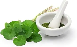 (Opakowanie zawierające 2) Proszek organiczny Centella Asiatica (50g)